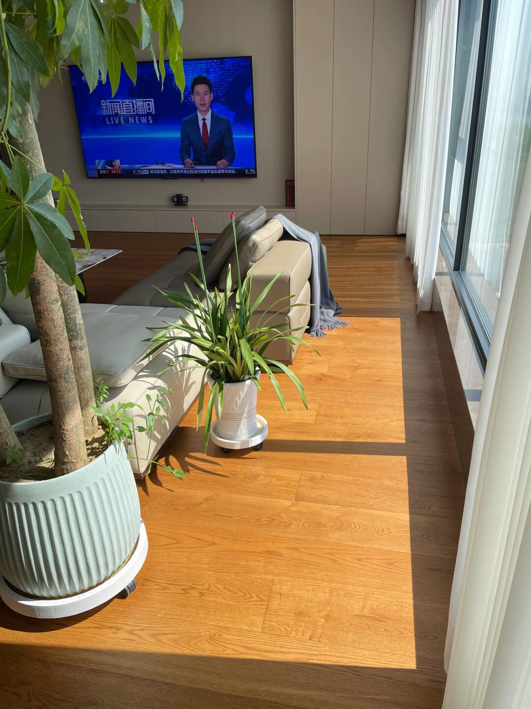 mmexport1744101606266